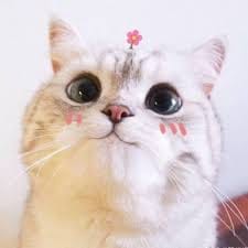 เทพทรู 2024 avatar