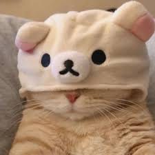 น้องมะลิ ใจดี avatar